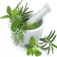 Ayurvedic Plant on 9Apps