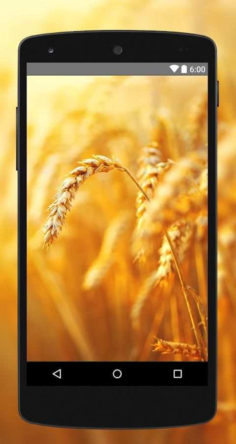 Wallpapers Gold 4K UHD स्क्रीनशॉट 2
