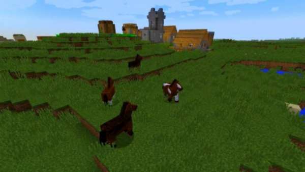 Seeds for Monecraft PE screenshot 3