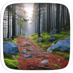 Forest Road Theme आइकन