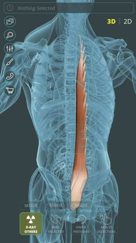 Visual Anatomy 3D | Human स्क्रीनशॉट 8