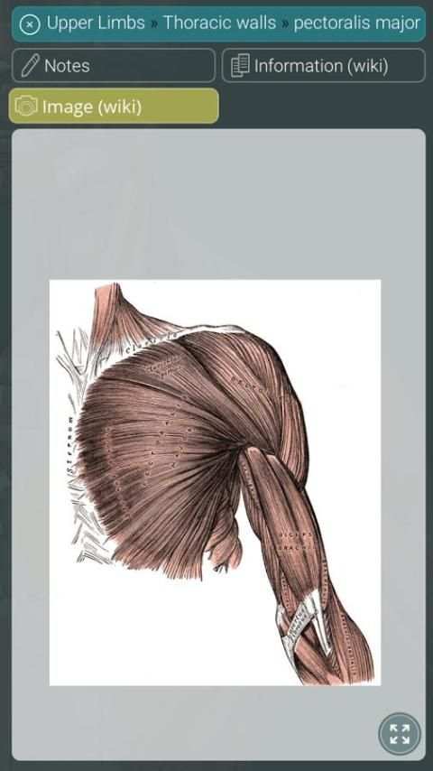 Visual Anatomy 3D | Human स्क्रीनशॉट 9