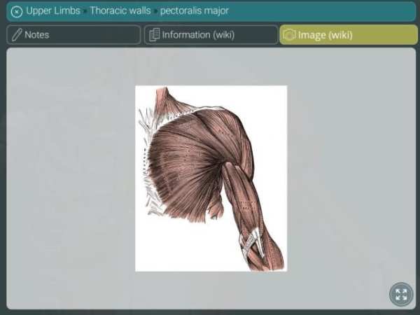 Visual Anatomy 3D | Human स्क्रीनशॉट 1