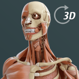 Visual Anatomy 3D | Human أيقونة