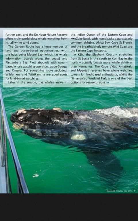 The South African Traveler Mag screenshot 3