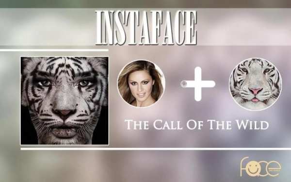 InstaFace : face morphing screenshot 16