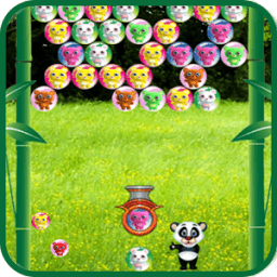 Bear Bubble Shoot icon