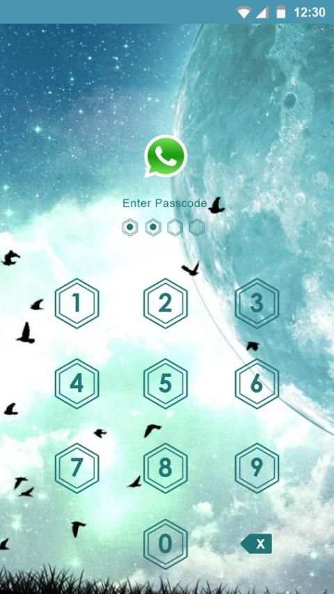 App Lock Theme for Galaxy screenshot 5