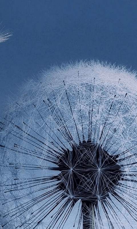 Galaxy S5 Live Wallpaper HD скриншот 4