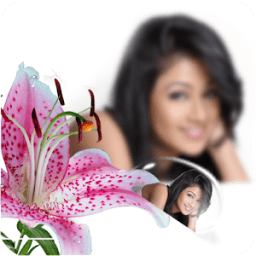 PIP كاميرا إطارات الصور أيقونة