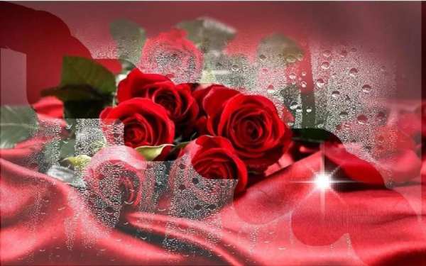 Valentine Roses live wallpaper स्क्रीनशॉट 1
