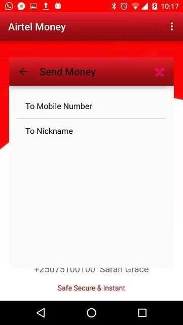 Airtel Money स्क्रीनशॉट 1