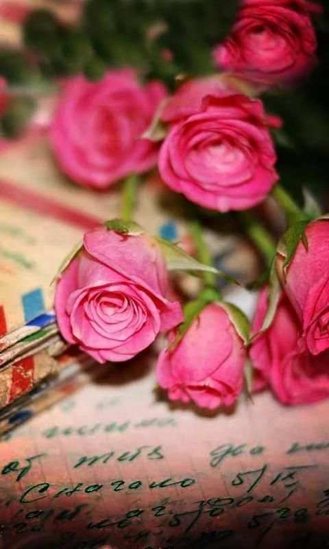 Valentine Roses live wallpaper स्क्रीनशॉट 5