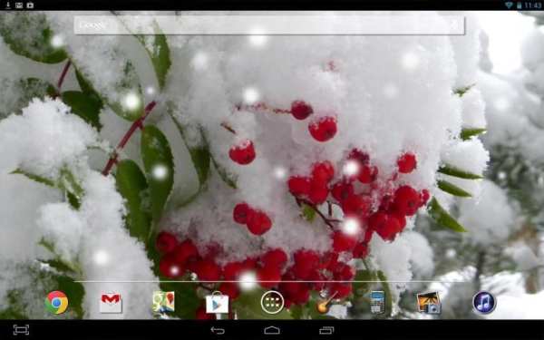 Winter Berry Live Wallpaper screenshot 1