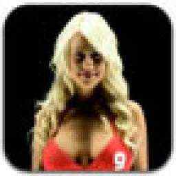 Bikini Girl Screen Washer 3.0.3