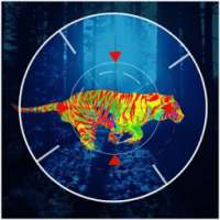 Тигр Охота 2016 – Tiger Hunt
