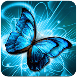 Butterfly Wallpaper иконка