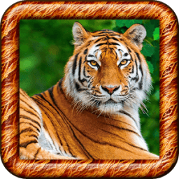 80-Mammals Sound icon