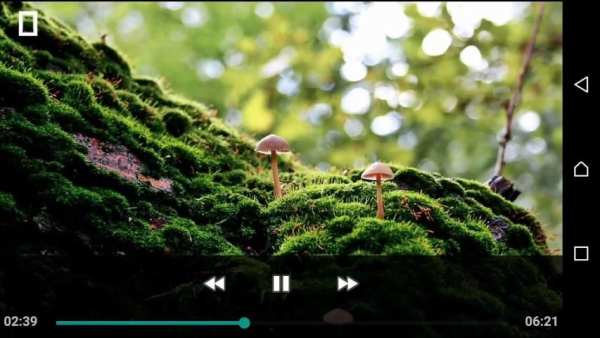 Video Player Pro स्क्रीनशॉट 2