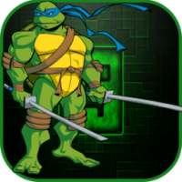 ninja fight turtle