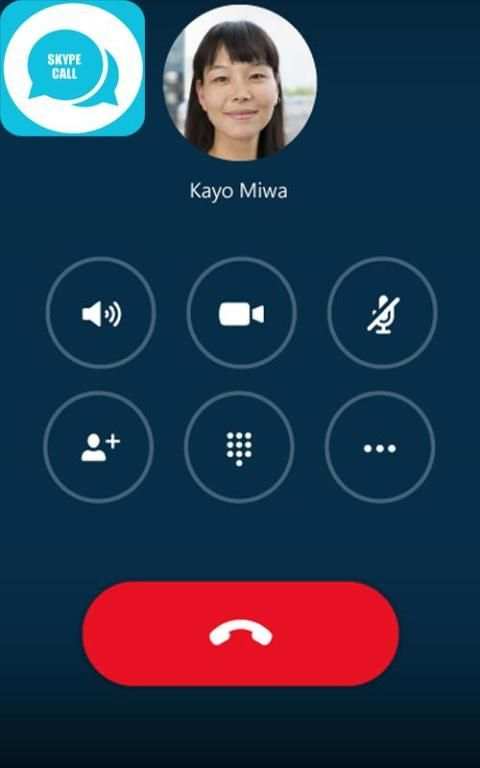Guide Skype call скриншот 2