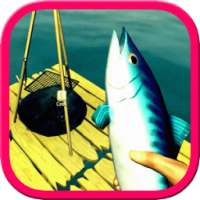 शार्क के अस्तित्व के द्वीप