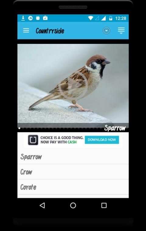 Animal Beats स्क्रीनशॉट 3