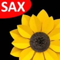 Sax Gallery on 9Apps