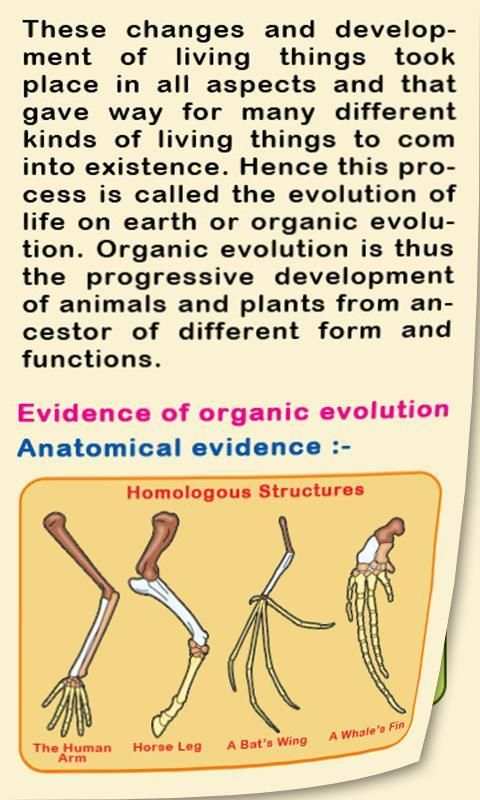 Biology IV скриншот 3