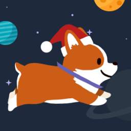 Space Corgi - Dogs and Friends