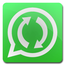 update WhatsApp beta version icon