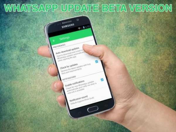 update WhatsApp beta version screenshot 1