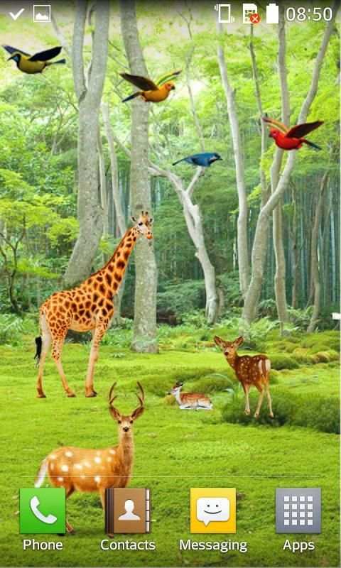 Forest HD Live Wallpaper स्क्रीनशॉट 9