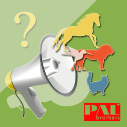 Sound Guessing Games icon