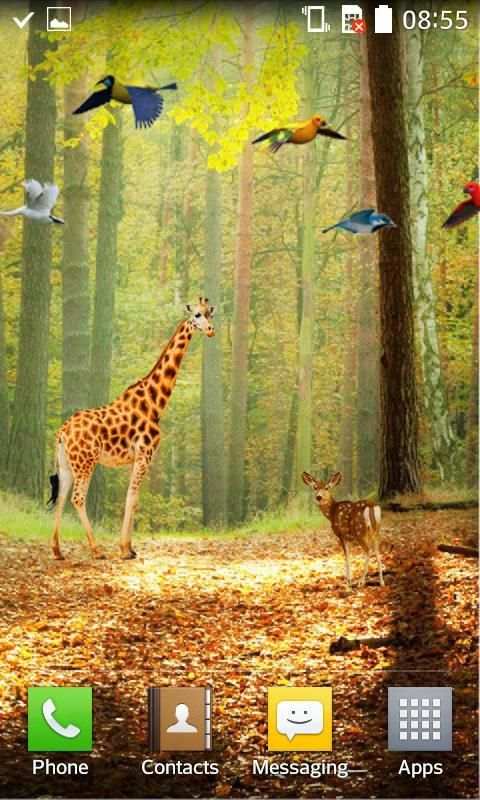 Forest HD Live Wallpaper स्क्रीनशॉट 2