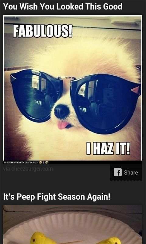 X GAG- LOL PICS FUNNY PICTURES screenshot 6