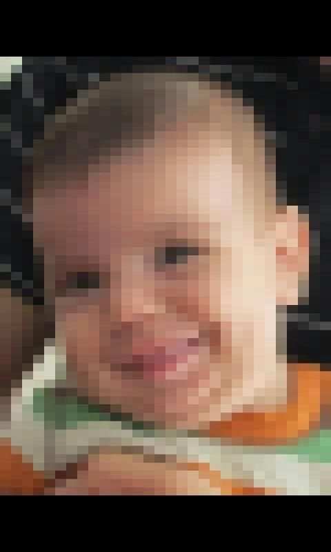 ZaBa Photo Mosaic Lite screenshot 3