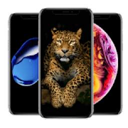 Wallpapers for iPhone 11 iOS 13