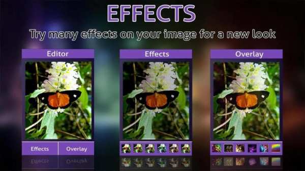 Butterfly Photo Frames Editor screenshot 14