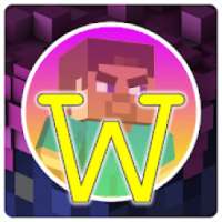 Mini World Craft For Video Guide