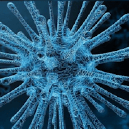 Corona Virus Do and Do Not आइकन