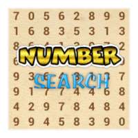 Number Search Challenge