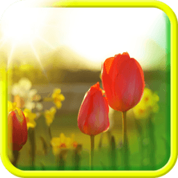 वसंत लाइव वॉलपेपर आइकन