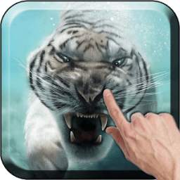 Diving Tiger 3.1