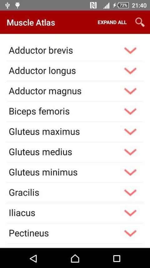 Anatomy: Atlas of Muscles screenshot 5