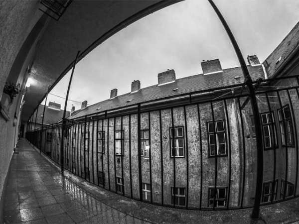 Fisheye Pro Video Camera скриншот 1