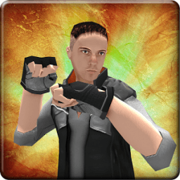 ikon The Fighting King: 3D Arcade