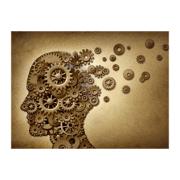 Psychological Disorders icon