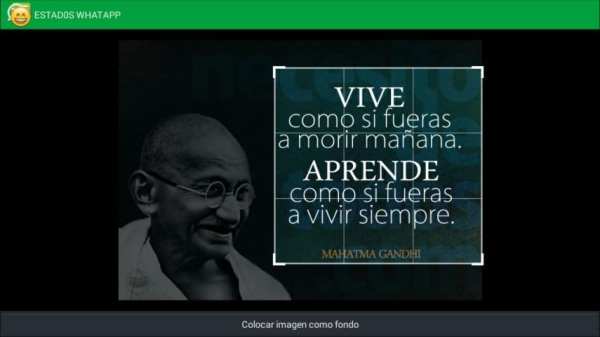 +5O.OOO ESTADOS PARA WHATSAPP screenshot 2