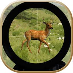 Deer Hunt 1.1